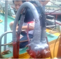 船舶油壓管