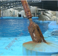 海洋公園鋼構吊鎖基礎采精蠟防蝕(1)