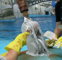 海洋公園 (9)